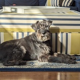 Entry image for Hurley