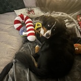 Entry image for Quest