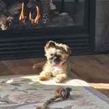 Entry image for Bobbi