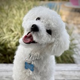 Entry image for Winston 