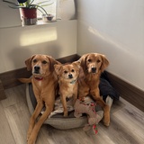 Entry image for Parker, Parson + Primrose