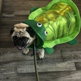 Entry image for London