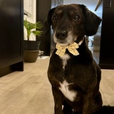 Entry image for Reilly 