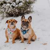 Entry image for Turk & Tank