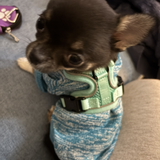 Entry image for Oreo