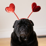 Entry image for Brewster