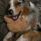 Entry image for Cubs