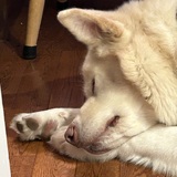 Entry image for Lucky 