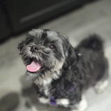 Entry image for Lucy