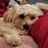 Entry image for Daisy Gonzalez