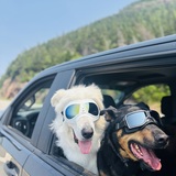 Entry image for Archibald/Paxton