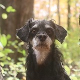 Entry image for Sayna