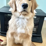 Entry image for Jennie 