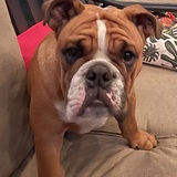 Entry image for Henry AKA Hanky Panky