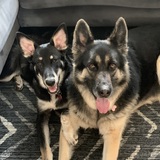 Entry image for Bella and Eva 