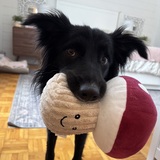 Entry image for Mandi