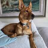 Entry image for George