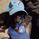 Entry image for Spencer