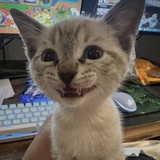 Entry image for Eddie