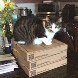 Entry image for George