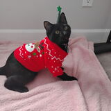 Entry image for Jonesy