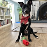 Entry image for Meeper