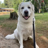 Entry image for Obi Wan Kenobi 