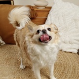 Entry image for Luna