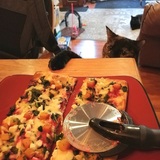 Entry image for Celica