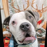 Entry image for Kylee