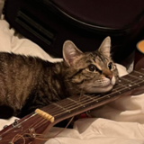 Entry image for Alice