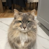 Entry image for Brooklyn