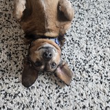 Entry image for Wayne