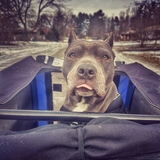 Entry image for Olivia 