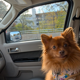 Entry image for Elliot 