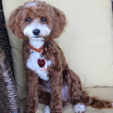 Entry image for Gabby