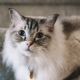 Entry image for Clark