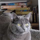 Entry image for Mellon