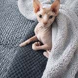 Entry image for Cajoux