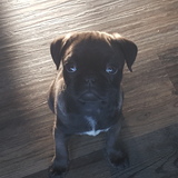 Entry image for Ronnie 