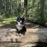 Entry image for Finn 