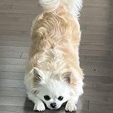 Entry image for Jodi