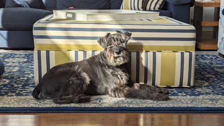 Entry image for Hurley. Clicking this image will show a larger photo