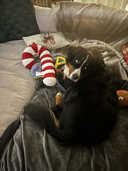 Entry image for Quest. Clicking this image will show a larger photo