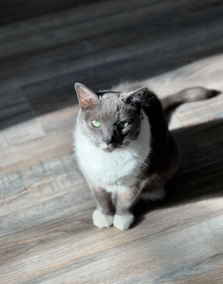 Entry image for Pod. Clicking this image will show a larger photo