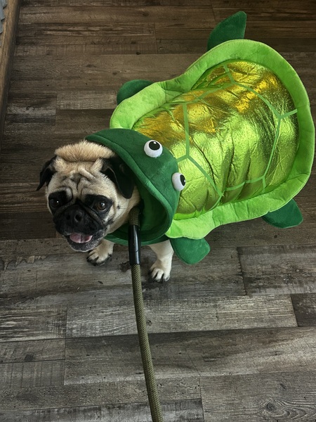 Entry image for London. Clicking this image will show a larger photo