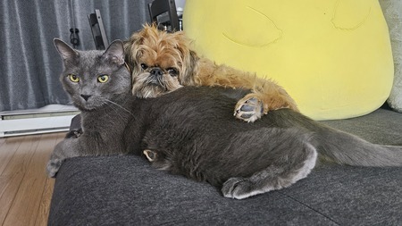 Entry image for Chesh and Daisy. Clicking this image will show a larger photo