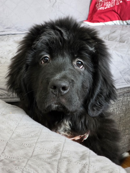 Entry image for Tiah. Clicking this image will show a larger photo