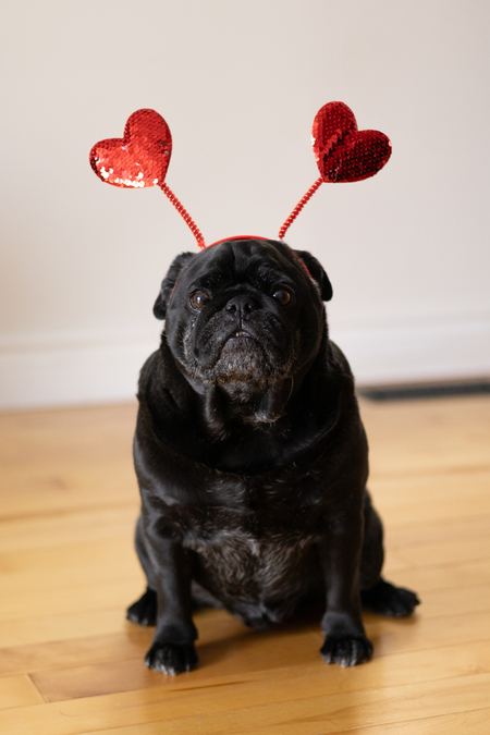 Entry image for Brewster. Clicking this image will show a larger photo