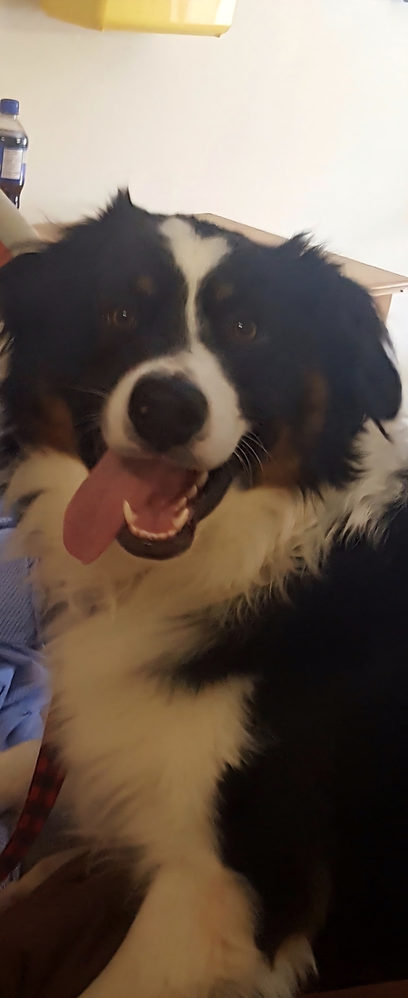 Entry image for Chuck. Clicking this image will show a larger photo